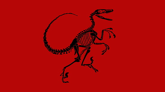 Tier, Dinosaurier, Velociraptor, HD-Hintergrundbild HD wallpaper