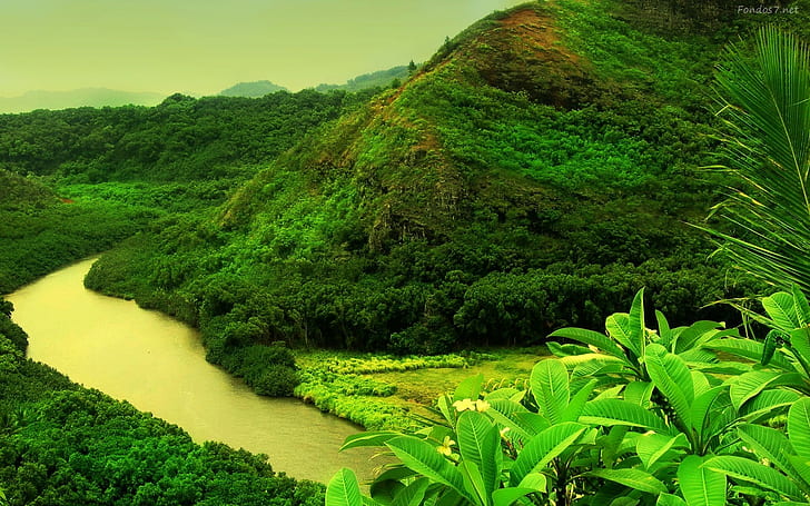 Fluss, gelb, HD-Hintergrundbild