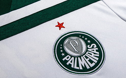 Piłka nożna, Sociedade Esportiva Palmeiras, Logo, Tapety HD HD wallpaper