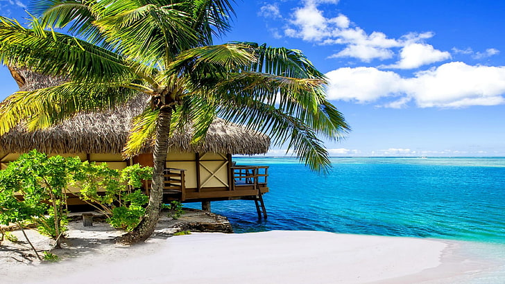 palm, karibisk, sand, sandstrand, kust, tillflykt, sommartid, sommar, semester, blått hav, moorea island, palmträd, tropikerna, exotiskt, tropiskt, franska polynesien, bungalow, ö, moorea, HD tapet