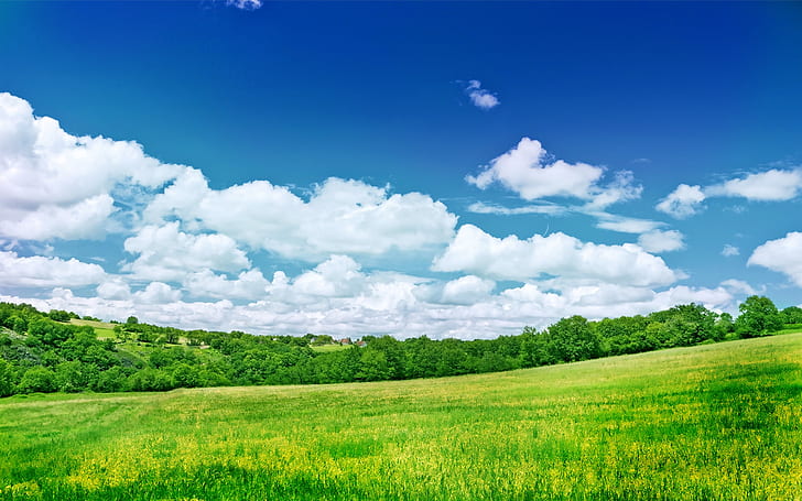 nature, landscape, greenery, field, clouds, sky, HD wallpaper