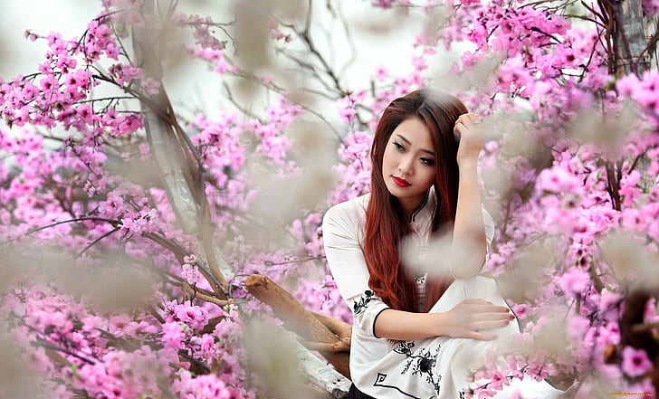 Asian, Bäume, Frauen, Modell, HD-Hintergrundbild