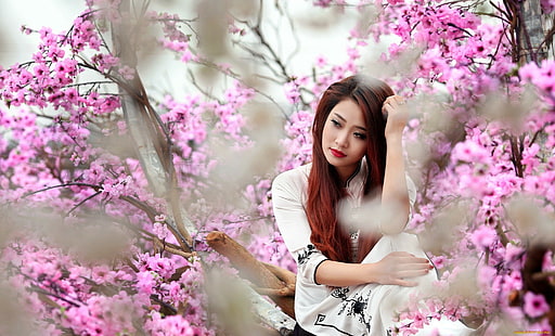 Азиатски, дървета, жени, модел, HD тапет HD wallpaper