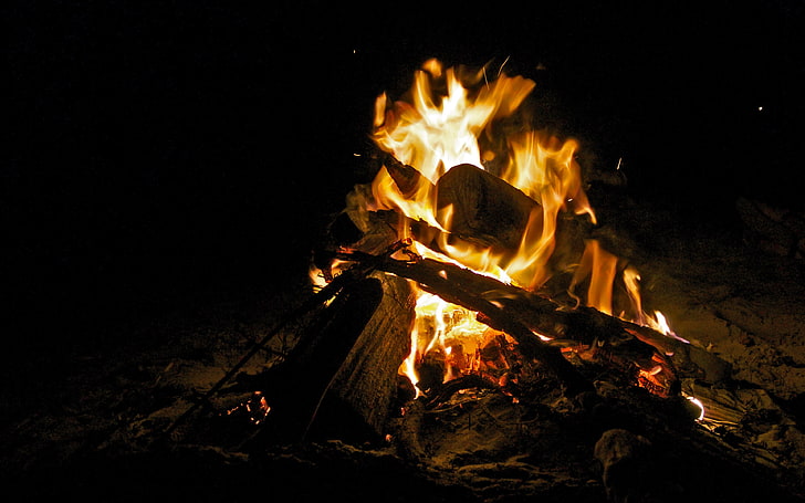 bonfire, bonfire, fire, flame, firewood, HD wallpaper