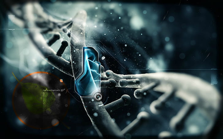linux dna bodhi linux 1920x1200 Technologia Linux HD Art, linux, dna, Tapety HD