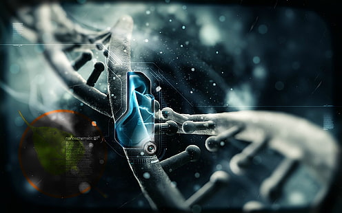 linux dna bodhi linux 1920x1200 Technologia Linux HD Art, linux, dna, Tapety HD HD wallpaper