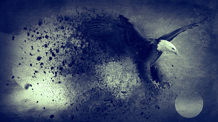 eagle illustration, abstract, moon, flying, bird, blue, freedom, eagle, digital art, artwork, HD wallpaper