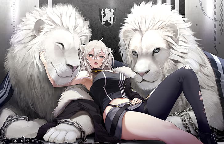 Хололив, Шиширо Ботан, белый лев, седые волосы, серые глаза, HD обои