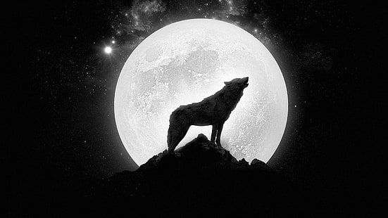 Wolf howling at the full moon, silhouette of wolf, digital art, 1920x1080, cliff, star, moon, wolf, HD wallpaper HD wallpaper