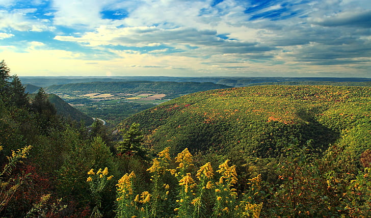 landscape photography of green mountains during day time, landscape photography, green mountains, day, time, Pennsylvania, Clinton County, Bald Eagle State Forest, Mt, Penny Hill, Vista, Appalachian Mountains, Interstate 80, I-80, landscape, valley, flowers, wildflowers, goldenrod, sky, clouds, cumulus, cirrus, dusk, autumn, low light, creative commons, nature, rural Scene, tree, hill, scenics, outdoors, forest, mountain, europe, summer, HD wallpaper