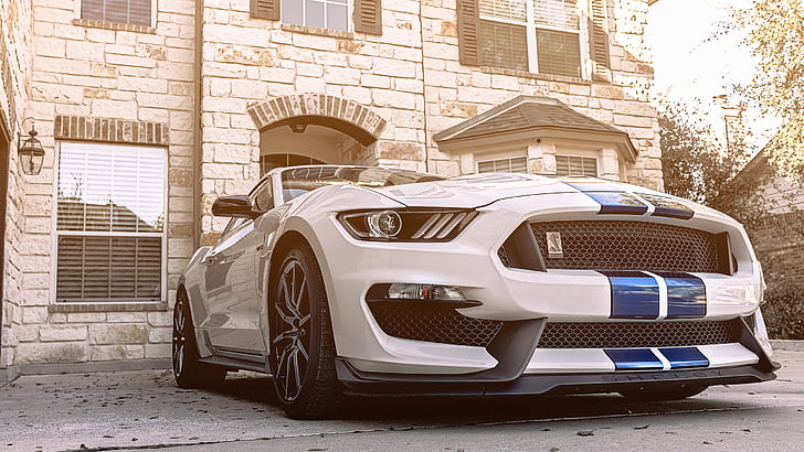 depth of field, car, Shelby GT350, Ford Mustang Shelby, HD wallpaper