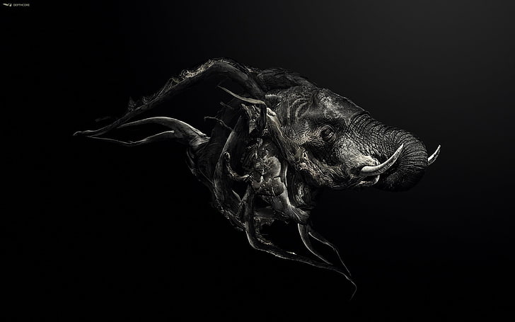 illustration de monstre gris, éléphant, noir, Fond d'écran HD