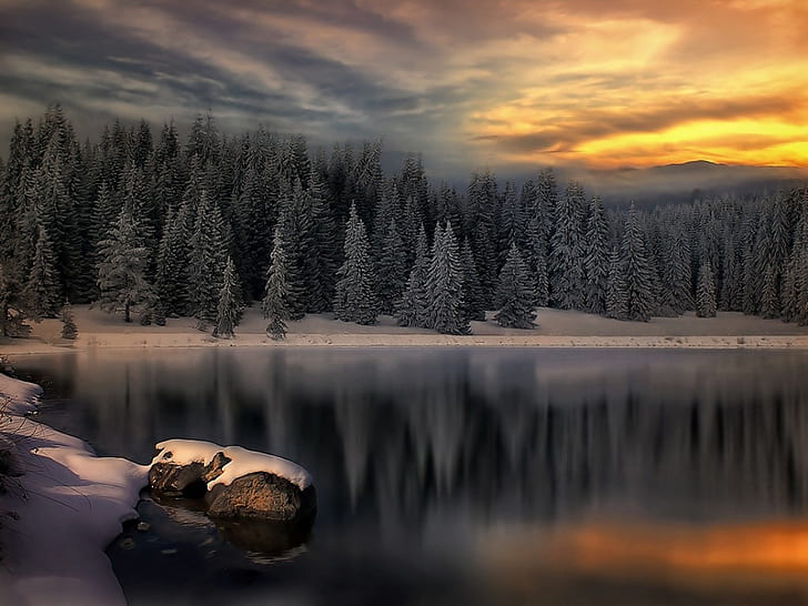 winter on the lake forest peace snow SONW sunset Trees Water HD, abstract, trees, sunset, snow, water, lake, forest, winter, peace, sonw, HD wallpaper