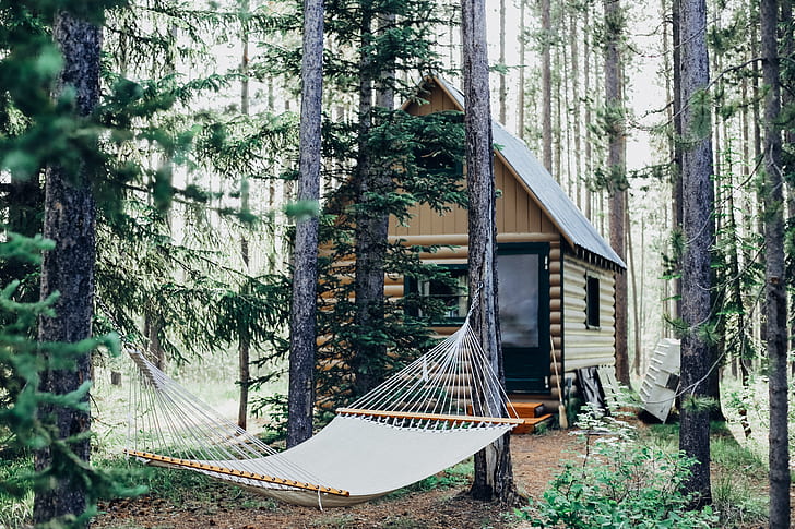 kabin, tempat tidur gantung, hutan, Wallpaper HD