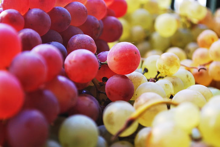 grapes, fruits, close-up, Food, HD wallpaper