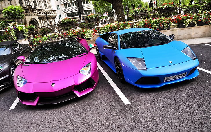 Розово и синьо Lamborghini, розови и сини спортни автомобили, HD тапет