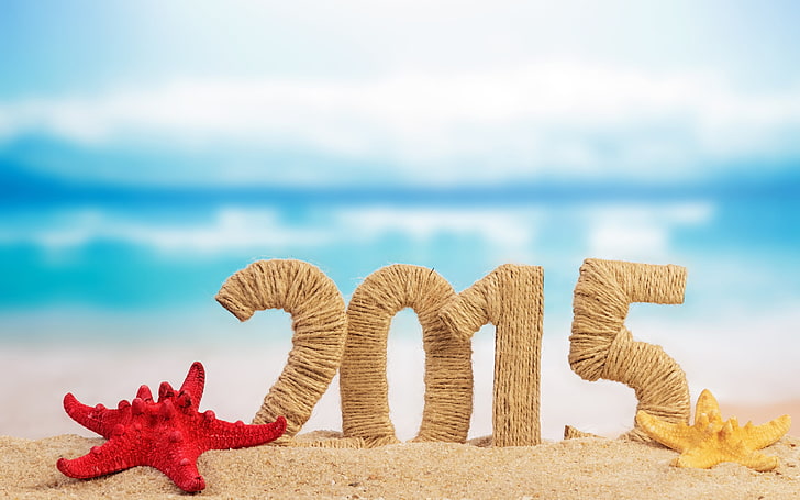 duas estatuetas de pássaros brancos e marrons, Natal, ano novo, estrela do mar, areia, 2015, HD papel de parede