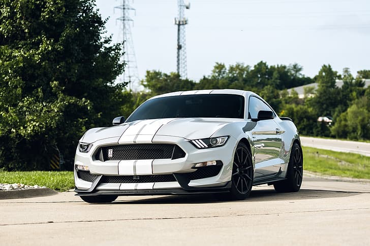 Mustang, Ford, Shelby, GT350, HD papel de parede