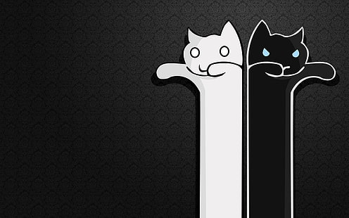 Mem, koty, wzór, mem, koty, wzór, Tapety HD HD wallpaper