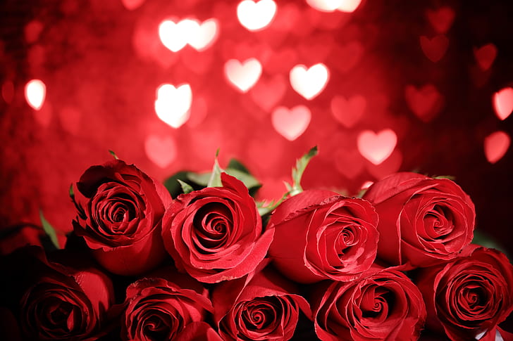 rosso, amore, cuore, fiori, romantico, regalo, rose, rose rosse, San Valentino, Sfondo HD