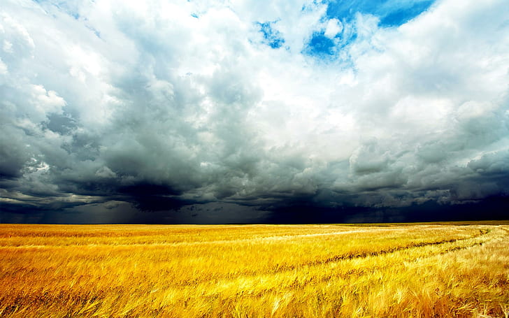 Nuages ​​d'orage, tempête, nuages, nature et paysage, Fond d'écran HD
