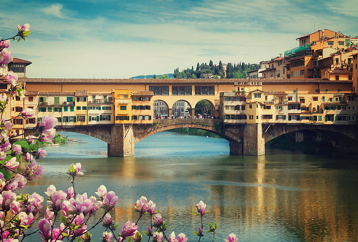 bridge, city, the city, spring, Italy, Florence, flowering, panorama, Europe, view, cityscape, travel, Old Bridge, HD wallpaper