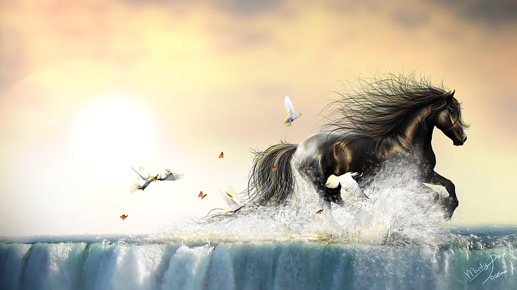 water, birds, insect, butterfly, animals, horse, waterfall, dove, HD wallpaper