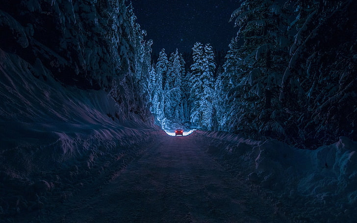 червена кола на черен път илюстрация, превозно средство, движещо се по пътя между дървета през нощта, зима, нощ, природа, гора, сняг, пътека, HD тапет