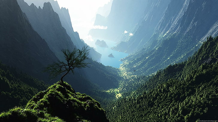montanhas, água, árvore solitária, natureza, HD papel de parede