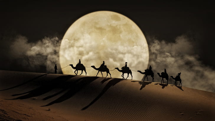 Desert Moon Camel Art Desktop Wallpaper Hd For Mobile Phones And Laptops, HD wallpaper