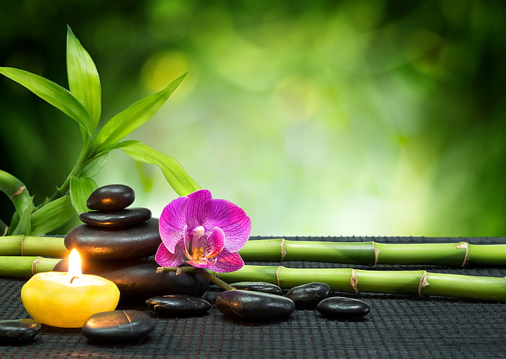 black cairn stone and pink orchid, stones, candle, bamboo, Orchid, Spa, HD wallpaper