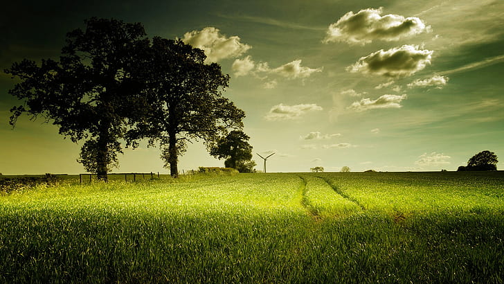 ธรรมชาติต้นไม้หญ้าภูมิทัศน์เมฆ, วอลล์เปเปอร์ HD