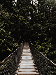 puente, puente colgante, árboles, bosque, oscuro, Fondo de pantalla HD HD wallpaper