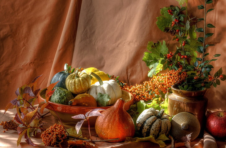 assorted-color pumpkins, still, pumpkin, shrubs, berries, HD wallpaper