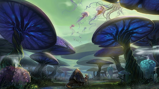 champignons magiques d'art fantastique, Fond d'écran HD HD wallpaper