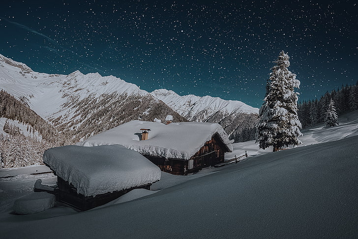 눈 밤 시간 동안 녹색 소나무 옆에 얼음 코팅 된 집 지붕의 사진, HD 배경 화면