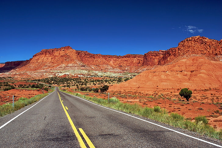 Alfombra de área floral marrón y blanca, paisaje, carretera, Estados Unidos, roca, Fondo de pantalla HD