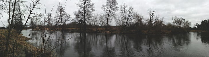 bosque, árboles muertos, musgo, agua, río, hojas, Polonia, ultra ancho, ultra ancho, fotografía, paisaje, naturaleza, Fondo de pantalla HD