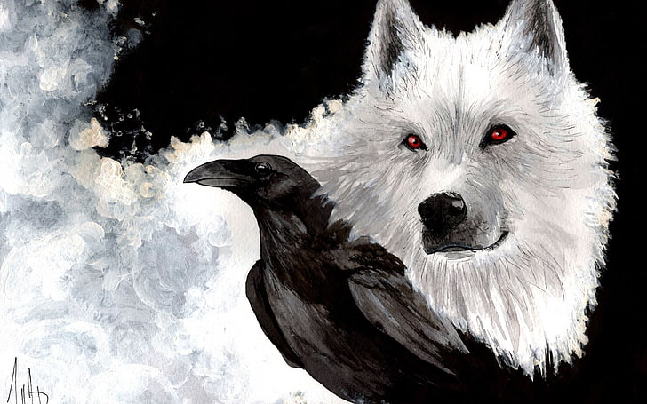 gatto bianco e nero a pelo corto, fantasy art, uccelli, animali, lupo, Sfondo HD
