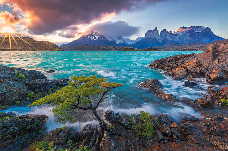 ต้นไม้สีเขียวพระอาทิตย์ตกภูเขาทะเลสาบชิลี Patagonia ทะเลสาบ Pehoe อุทยานแห่งชาติ Torres del Paine Torres del Paine Cuernos del Paine ต้นสนภูเขา Paine Massif, วอลล์เปเปอร์ HD