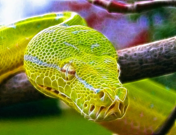 Fractal Snake นามธรรมเศษส่วนงูสัตว์, วอลล์เปเปอร์ HD
