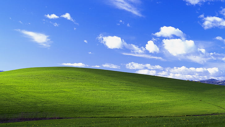 поле със зелена трева, Bliss, Landscape, Windows XP, Stock, 4K, HD тапет