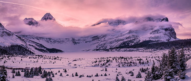 белый и черный цветочный коврик, фотография, пейзаж, природа, горы, панорама, зима, лес, снег, розовый, облака, закат, холод, Британская Колумбия, Канада, HD обои