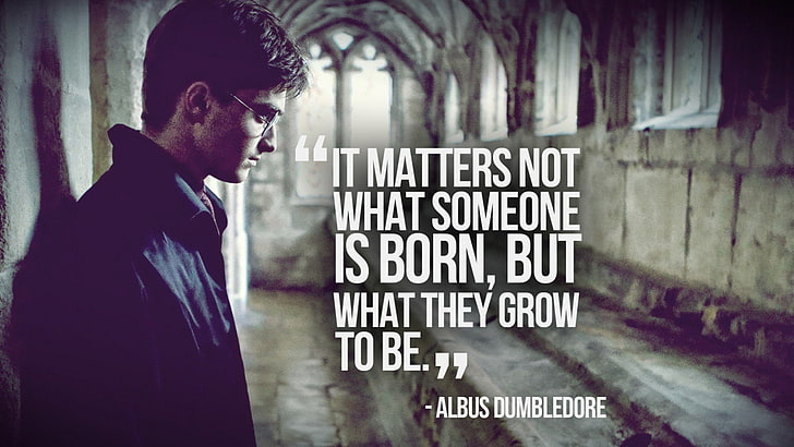 Albus, daniel, Dumbledore, Harry, Potter, quotes, Radcliffe, HD wallpaper