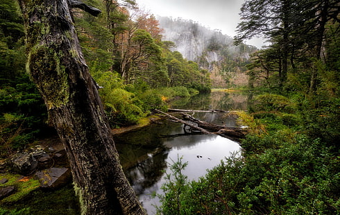 Chili, Parc National de Huerquehue, Araucanie, Fond d'écran HD HD wallpaper