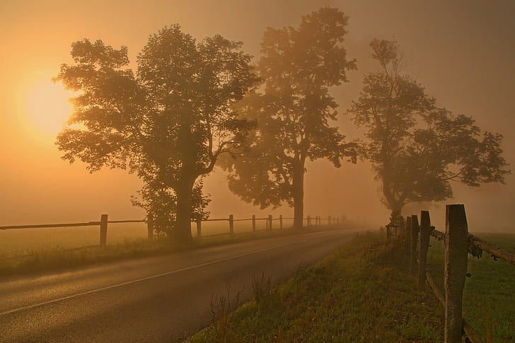 landschaft, beschaffenheit, zaun, morgen, straße, bäume, nebel, HD-Hintergrundbild