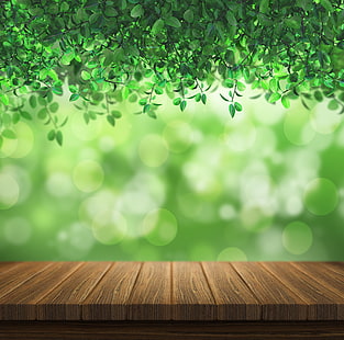 зеленые листья, свет, листва, доска, зеленый фон, боке, HD обои HD wallpaper