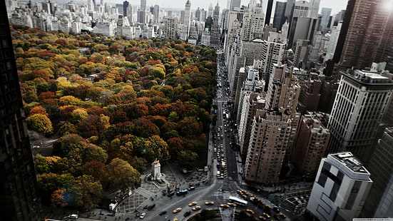 building  taxi  birds eye view  roundabouts  cityscape  window  urban  New York City  USA  architecture  blurred  fall  park  Central Park  skyscraper  city  car  trees  aerial view  street, HD wallpaper HD wallpaper