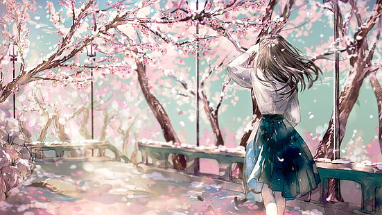 вишня в цвету, сакура, аниме девушка, вид сзади, аниме, HD обои HD wallpaper