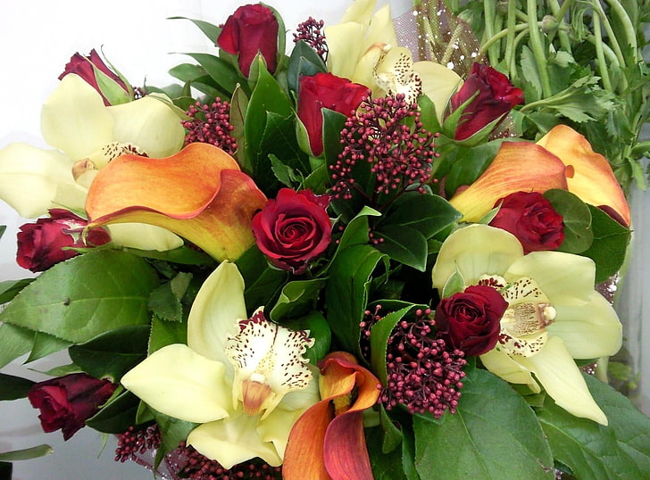 red, beige, and orange petaled flowers bouquet, roses, calla lilies, orchids, flowers, bouquet, ofromlenie, greens, HD wallpaper